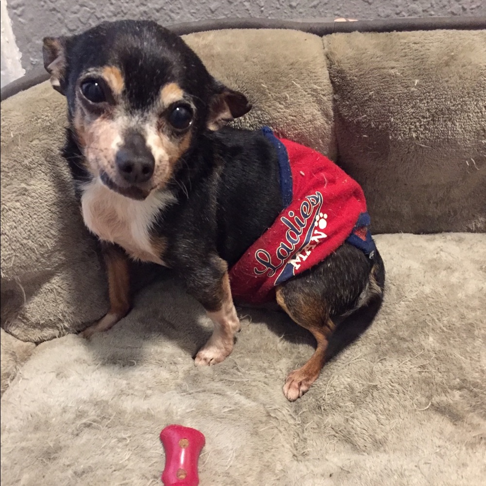 Meet your Posher, Anjelah